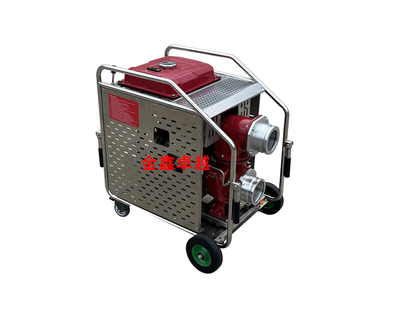 汽（柴）油機泵\排澇泵\排水泵